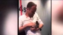 Dánske rádio čelí kritike: V priamom prenose zabilo králika