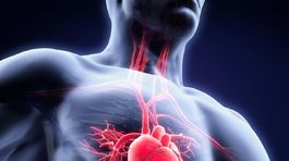 Trojcípa chlopňa do aorty cez katéter