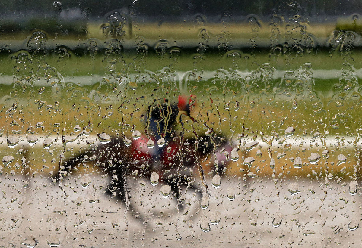 kôň, dostihy, dážď, kvapky