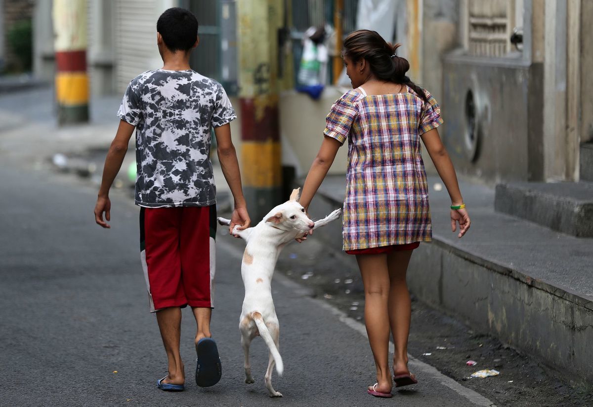 Filipíny, prechádzka, pes