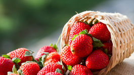 Jahody sú lahôdkou i zásobárňou zdravia