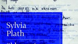 Sylvia Plath: Sklenený zvon 