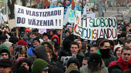 Gorila znovu putuje do parlamentu 