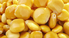 Nízkokalorická strukovina lupina: Zdravšia konkurentka sóje