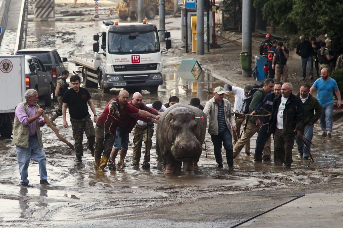 Tbilisi, záplavy