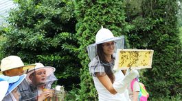 Vďaka presklenému úľu sa môžu školáci včiel takmer dotknúť