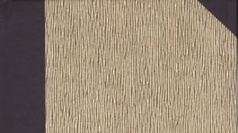 Kniha týždňa: Znova slovenský Hesse