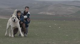 Príbehy, ktoré médiá nezaujímajú 