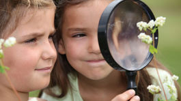 Nútiť deti do učenia aj cez prázdniny?