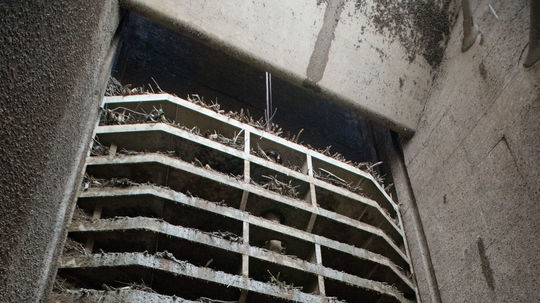 Štátna Vodohospodárska výstavba ide v Gabčíkove...