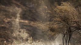 Grécko: Lesné požiare majú prvú potvrdenú obeť