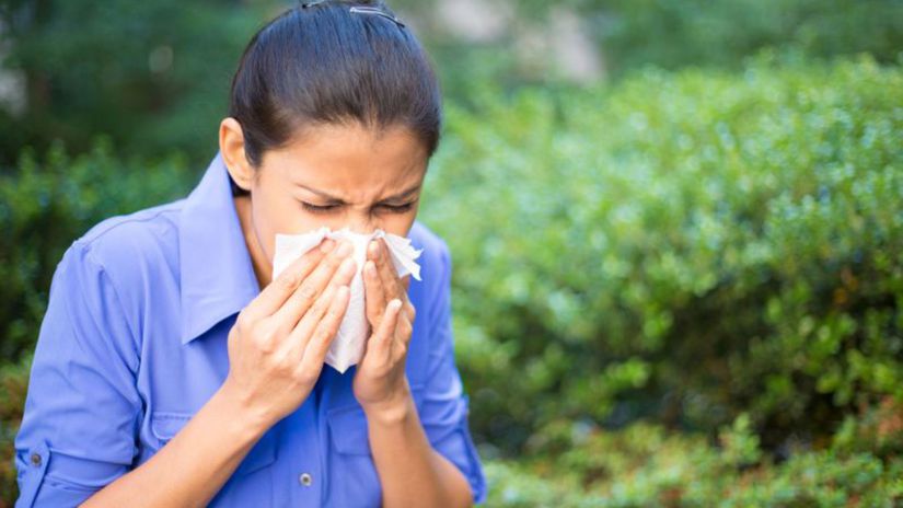 alergia, nádcha, prechladnutie