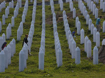 Bosna Srebrenica