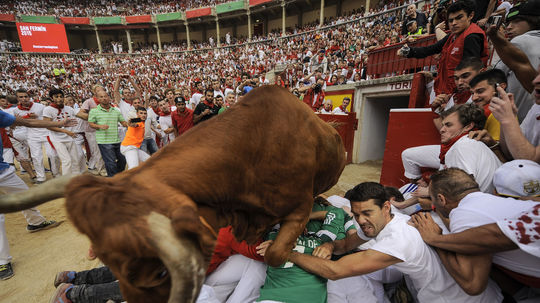 Na takmer kilometer dlhom behu s býkmi medzi...