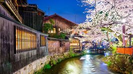 Kjóto, Japonsko, mesto, rieka, čerešne, sakura, strom, kvitne, kvety, romantika, večer
