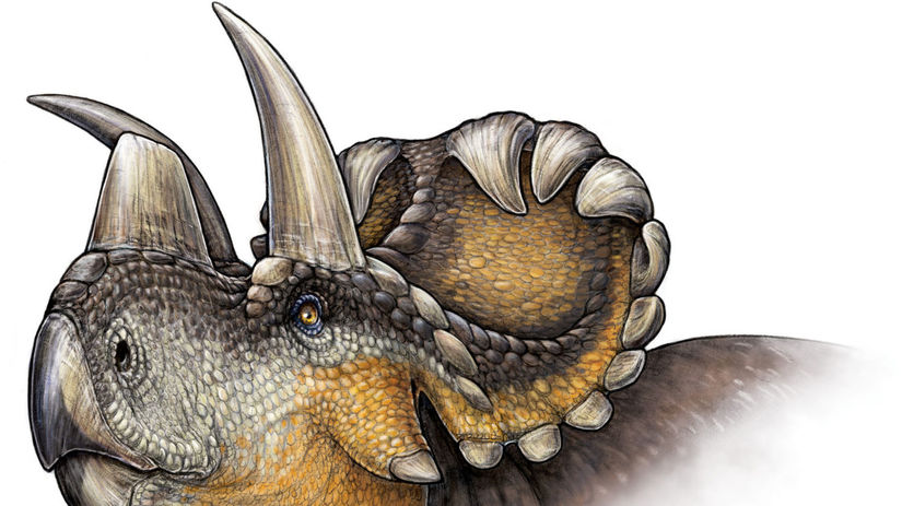 dinosaurus Wendiceratops pinhornensis