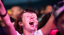 festival bazant pohoda 2015, bez ladu a skladu