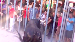 V Španielsku pri behu s býkmi zahynul francúzsky turista