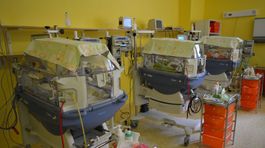 V nových inkubátoroch v Trnave sú drobci, ktorí sa ponáhľali na svet