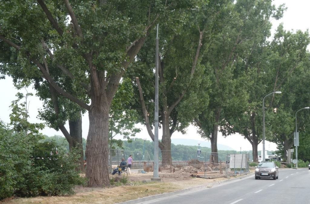Podľa aktivistov developer s devastáciou zelene...