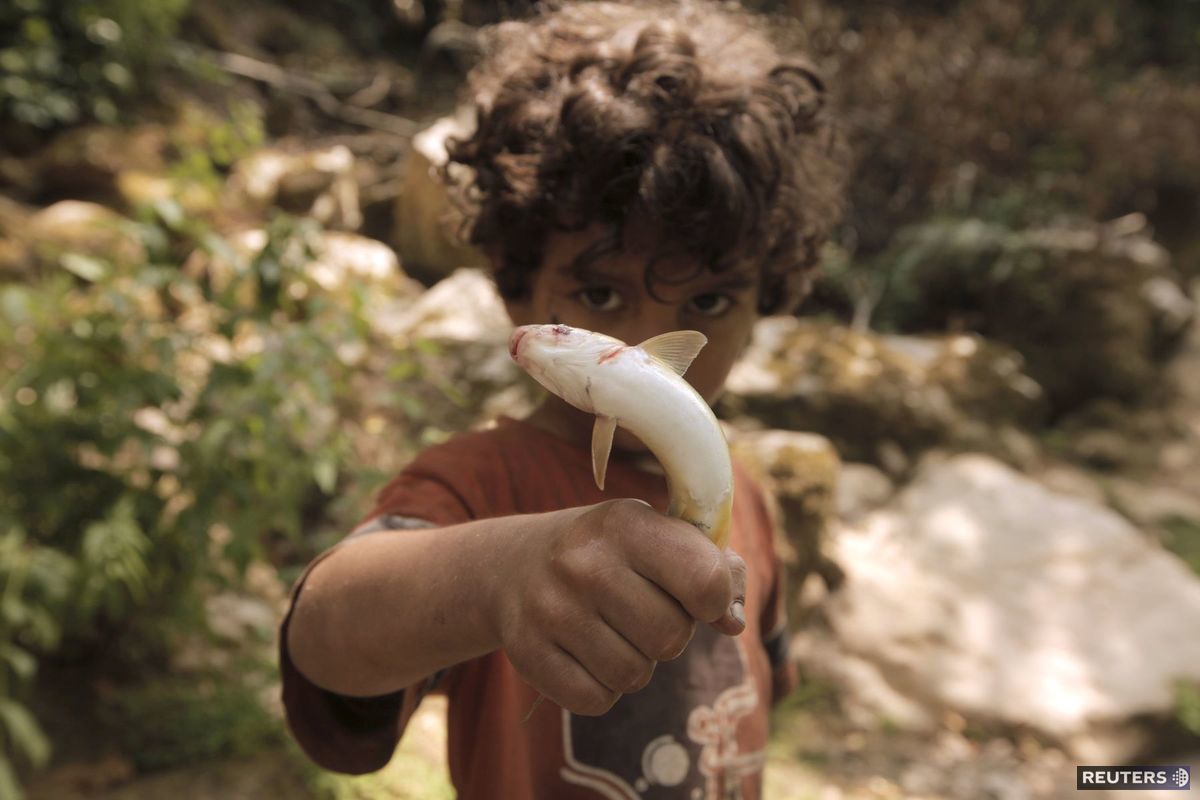 chlapec, ryba, lov, Libanončan
