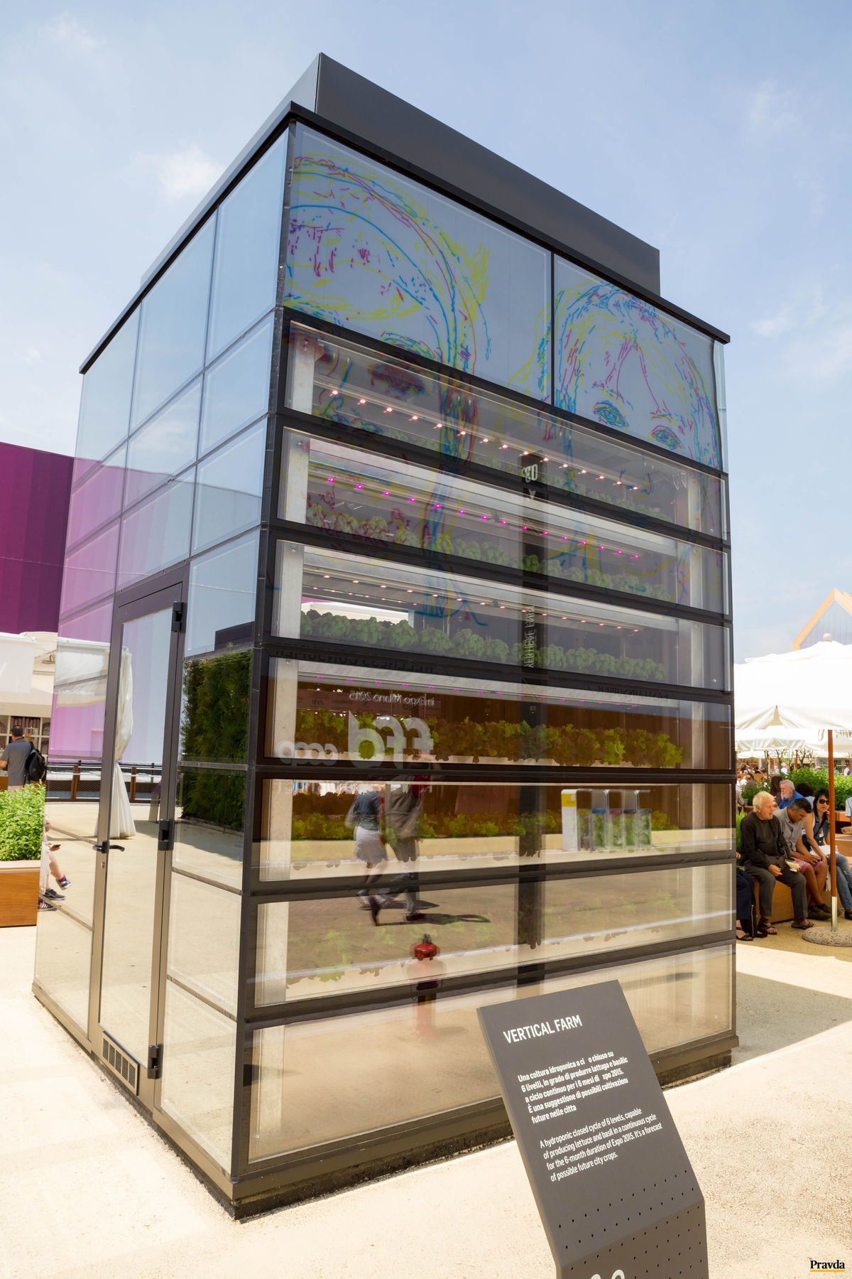 Šesťposchodové pole so šalátom a bazalkou.