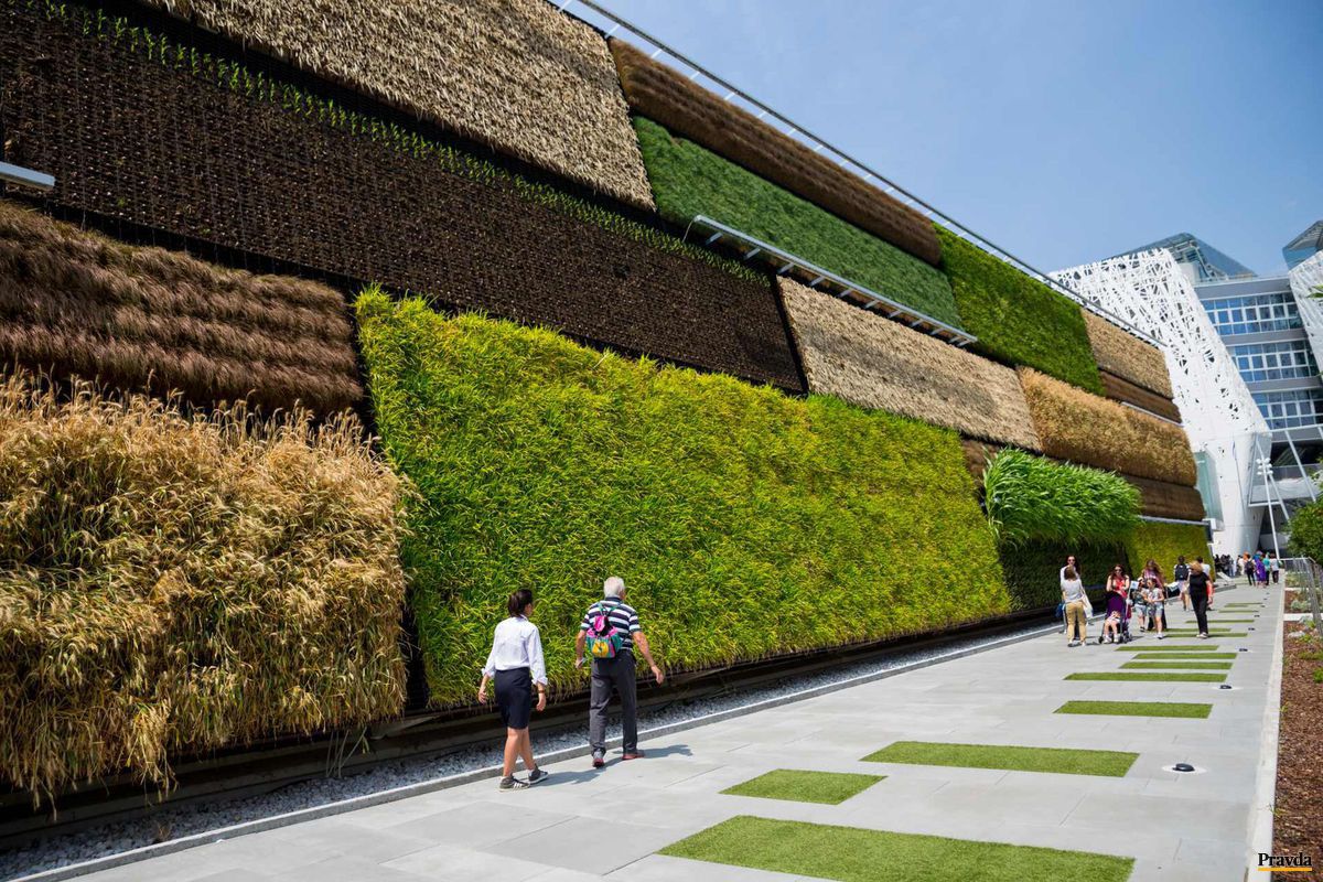 Vertikálne pole na Expo 2015 v Miláne.