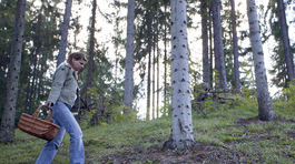 Sucho uspalo huby, začnú rásť najskôr koncom augusta