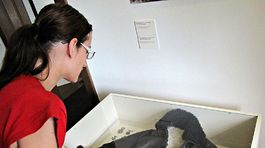 Štefánikova letecká bunda nesie stopy dávnej tragédie