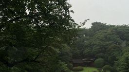 Japonsko, záhrada