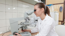 Najstaršie spermie majú 50 miliónov rokov