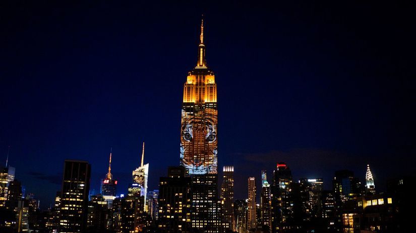 Obrázok tigra na fasáde Empire State Building v...