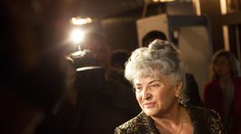 Harabina budú riešiť jeho kolegovia