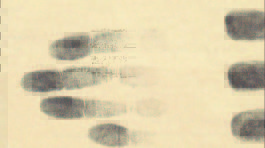 Štefan Drug:  Väzeň vlastných súdruhov