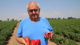 Posledný mohykán pestujúci papriku