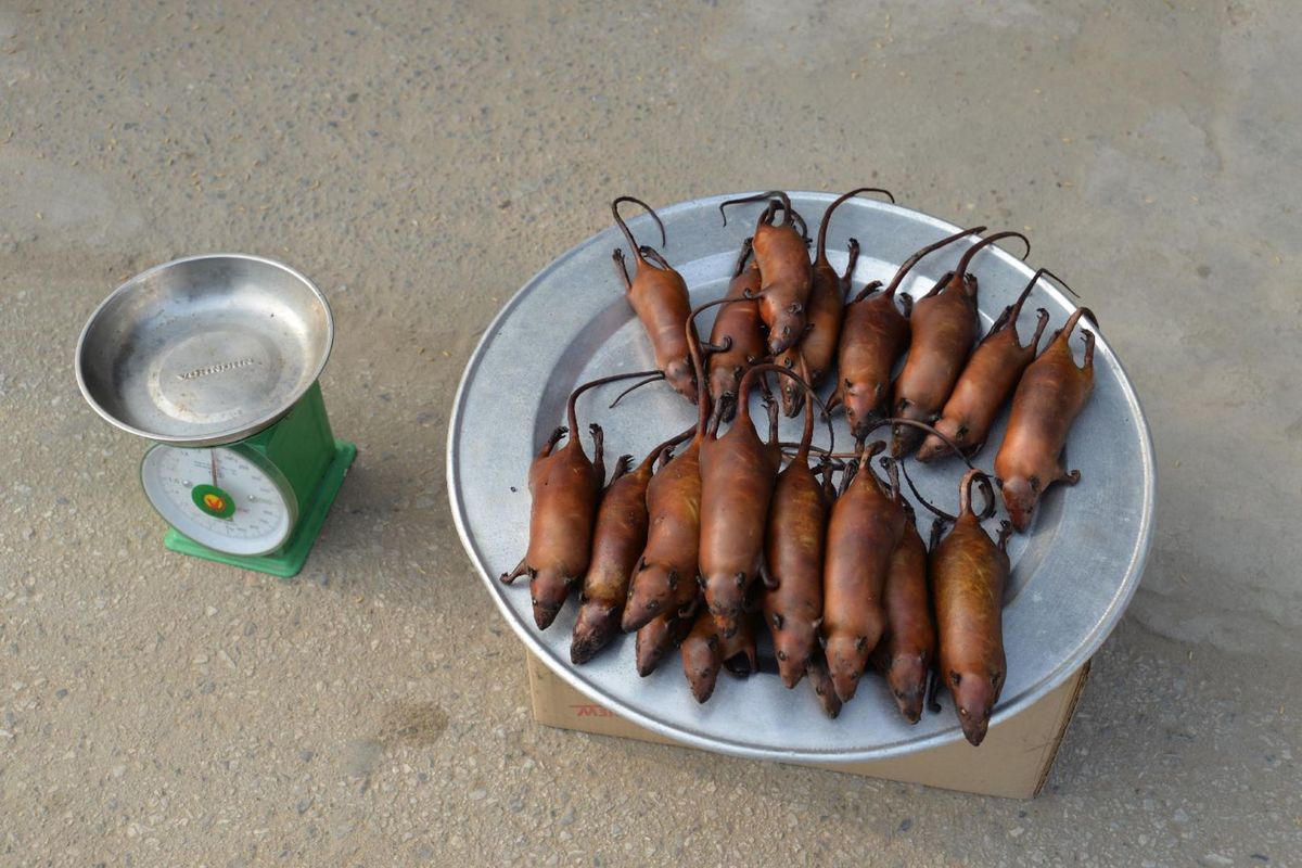 Vietnamská „špecialita“.