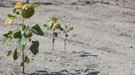 Slovensko má zásoby vody. Zatiaľ