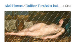 Dalibor Tureček, Aleš Haman a kol.: Český a slovenský literární parnasismus