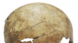 Archeológovia skúmajú masovú vraždu z mladšej doby kamennej