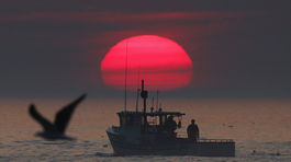 Dal meno Amerike, no jeho plavby sú pochybné. Čo videl z lode Amerigo Vespucci?