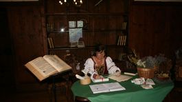 O liečení bylinkami dnes aj v histórii sa ľudia môžu dozvedieť na novej výstave