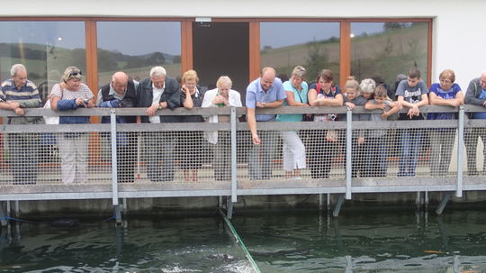 Nad rybníkom, pod hladinou ktorého sa ukrýva...