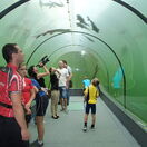 Sklenený tunel, ryby, rybník, Morava, Modrá, podvodný tunel