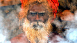 V Indii pribúdajú hinduistickí nacionalisti. Kravy-matky ochránia aj násilím na ľuďoch