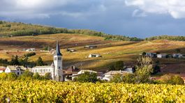 Klimatické zmeny trápia francúzsky vinič