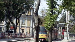 Pre vynovenú trať vyrúbu stromy pri zastávke Žilinská