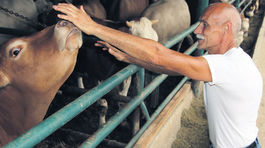 Roštenka pomáha pôde viac ako rezeň