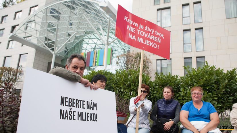 protest, mlieko