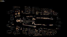 Objav v Južnej Afrike: Ľudský rodostrom má nového člena