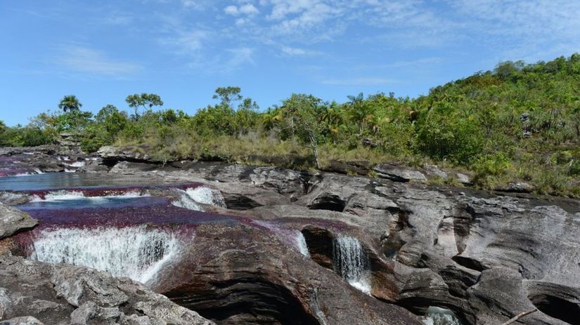 Caño Cristales